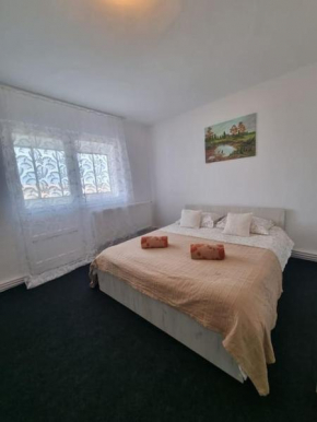 Apartament cu o camera